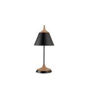 Éclat Noir Boisé Subtil | LIGNART - Style moderne