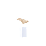 Sculpture Naturelle et Métal | LIGNART - Style moderne