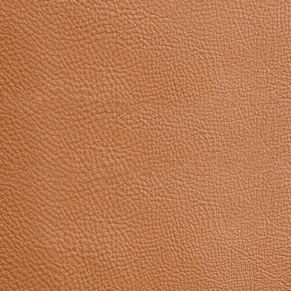 Élégance : Fauteuil Relax Cuir | LIGNART